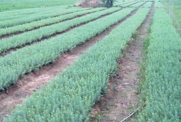 1629199043169567.jpg 1629199038(1).jpg