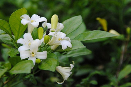 1629211297452893.jpg 1629211297452893.jpg