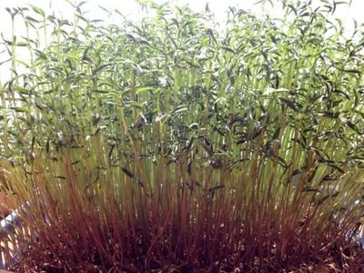 1629212389311849.jpg 1629212389311849.jpg