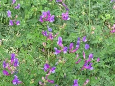 1629212389661435.jpg 1629212389661435.jpg