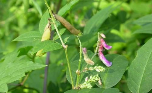 1629212389911053.jpg 1629212389911053.jpg