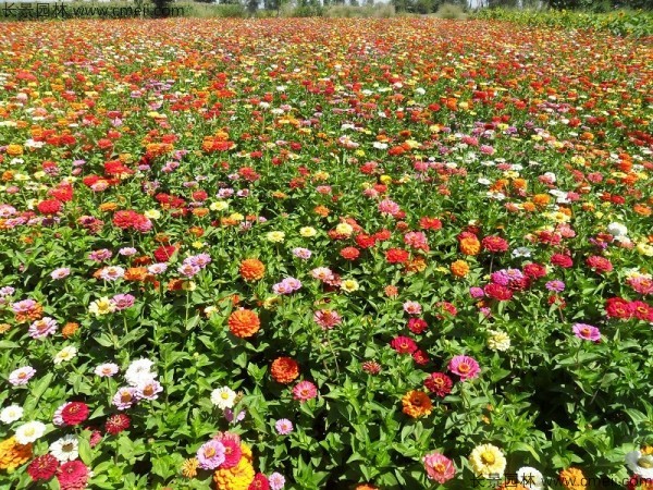 1629216153530952.jpg 1629216153530952.jpg