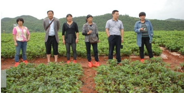 1629242473596701.jpg OD%$T`MFM5$@B8`(X[}7_WE.jpg