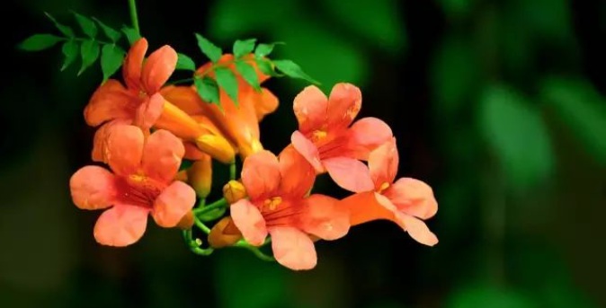 1629242680518616.jpg 8ZA15L4@}5N1KCCNKQD5T7G.jpg