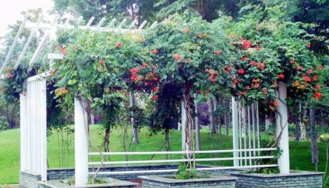 1629242708586946.jpg F[)T`M89`HQ~BL$}3@ZZTJM.jpg