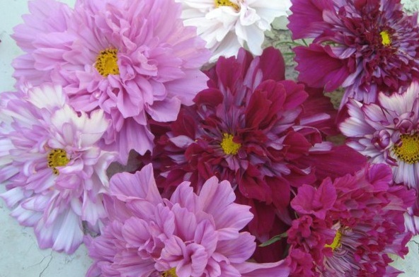 1629243247483273.jpg H32VTUUK7KGA3TJ1OUJ~[NX.jpg