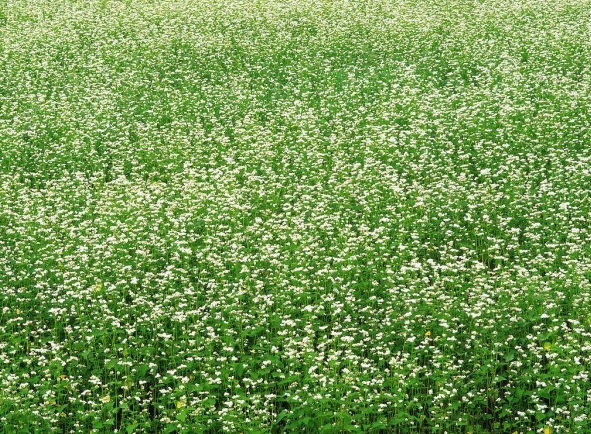 1629245157594884.jpg VPM0[VJJ5Q)1}@0SG9I(%GD.jpg