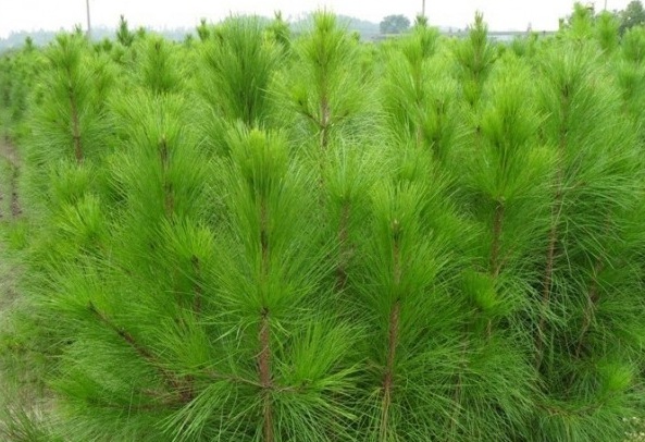 1629245871266252.jpg TQD1VDCRNY5~0[5WQ`ENXAN.jpg