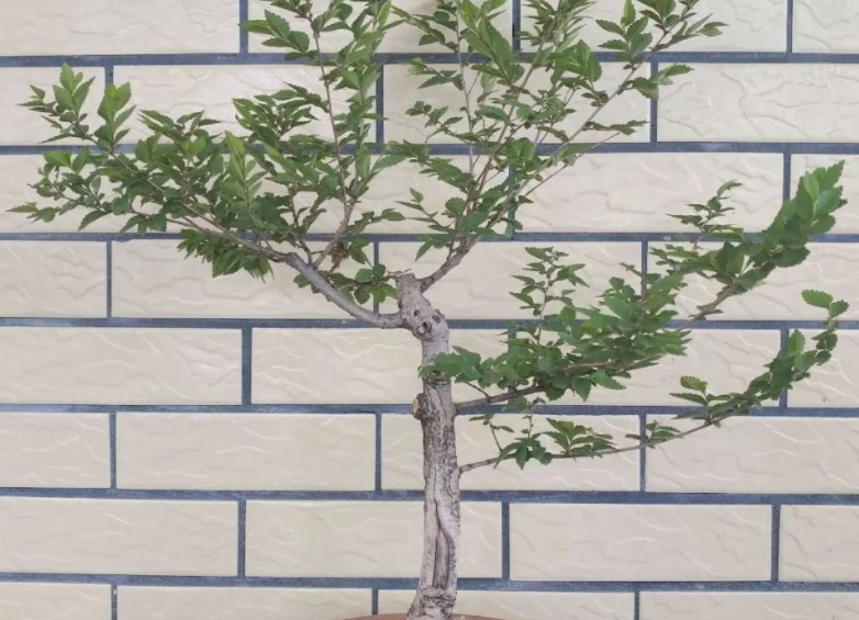 1629262611332170.jpg XZ3AYW2COUU~SPTW3LTU0HA.jpg