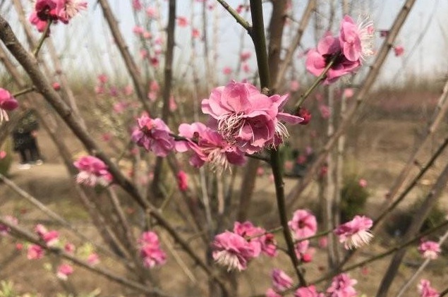 1629262904283320.jpg )9NJFUJOW9_6SB_Z~F70V(A.jpg