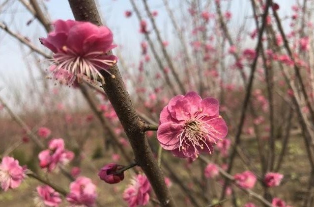 1629262927333201.jpg ~1899MZ{R$YJ{TSYM_(O70K.jpg