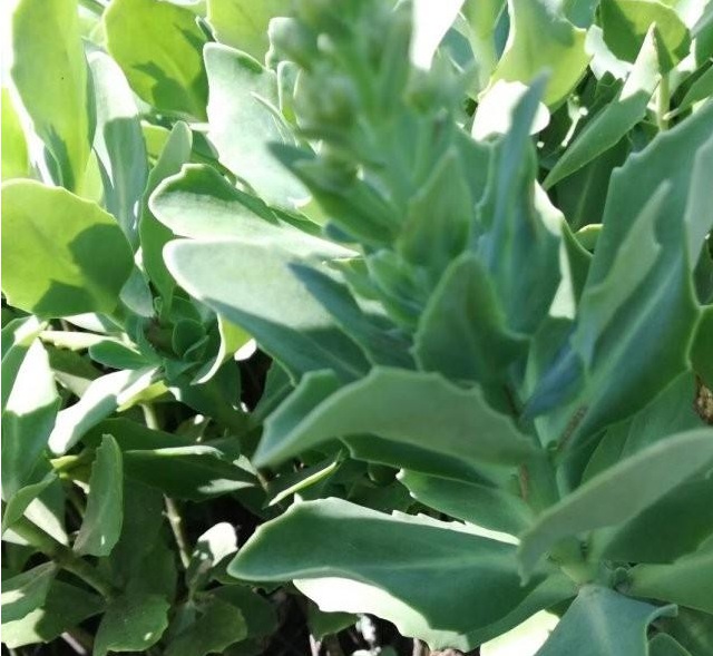 1629267008302957.jpg _74YFBUE44GLV`7F{V0QQ72.jpg