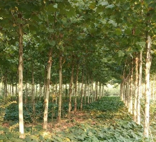 1629269751775953.jpg 0}UAXJ$X)UUXW~U`HZG[HQC.jpg