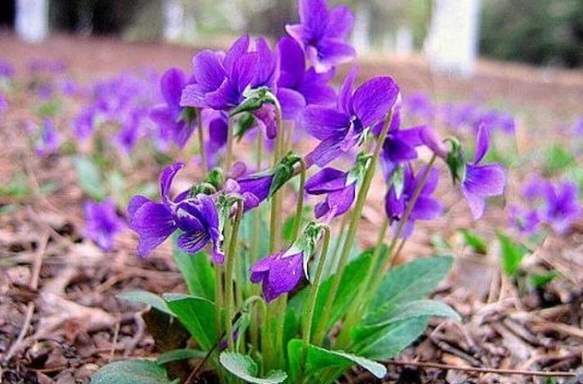 1629270762669026.jpg I(OYG{(Z6{48ZC2GEH1)35P.jpg