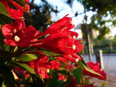 1629274193850247.jpg 1629274193850247.jpg