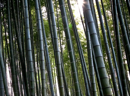 1629370400922714.jpg image.jpg