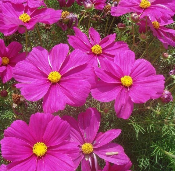 1629437287916535.jpg 1629437283(1).jpg