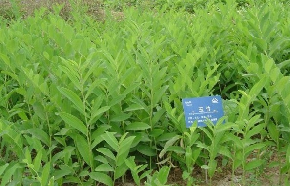 1629447247610008.jpg 6.jpg