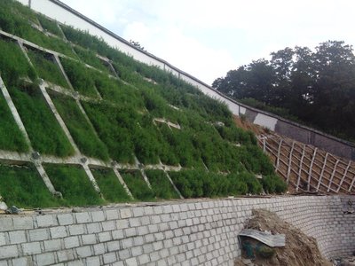 1629458252190603.jpg 1629458252190603.jpg