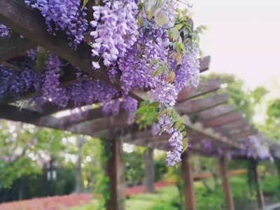 1629459808279108.jpg 1629459808279108.jpg