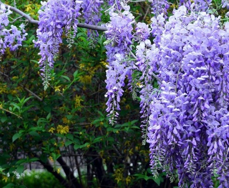 1629469582593855.jpg image.jpg