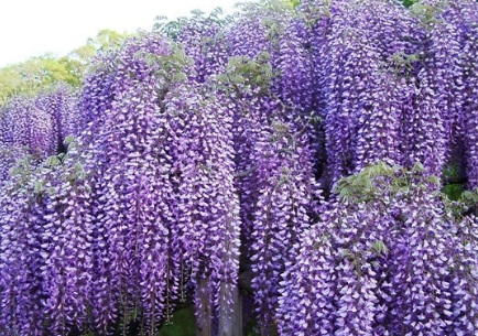 1629469609147782.jpg image.jpg