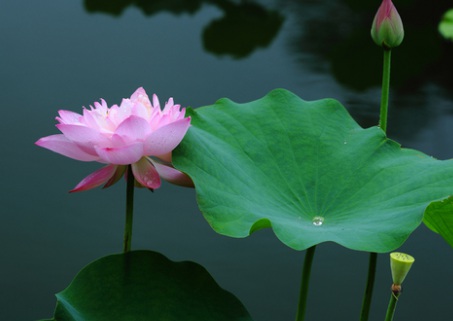 1629469686210839.jpg image.jpg