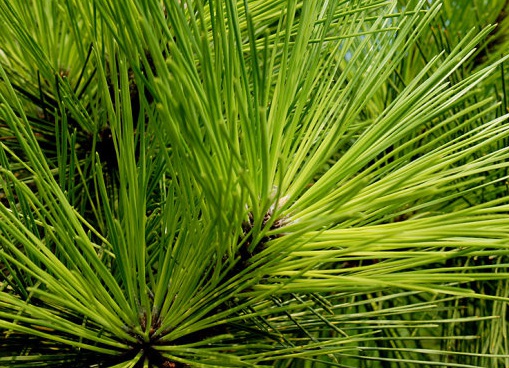 1629470869197655.jpg image.jpg