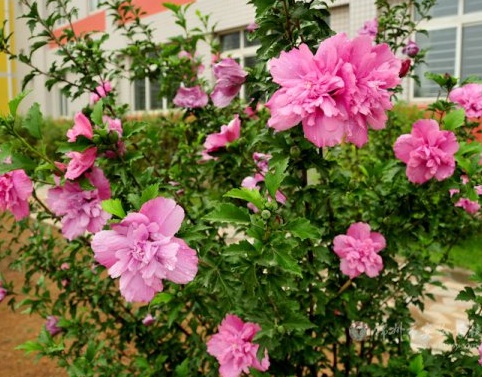 1629471084695745.jpg image.jpg