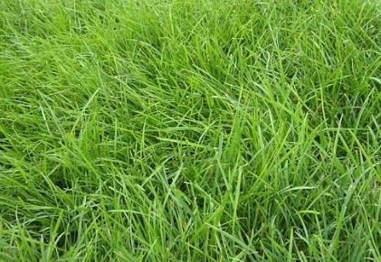 1629471465862472.jpg image.jpg