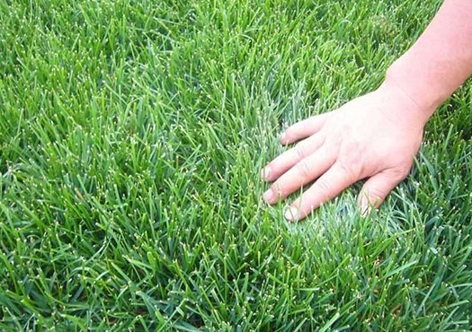 1629471476941528.jpg image.jpg