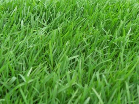 1629471490965287.jpg image.jpg