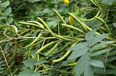 1629545717953345.jpg 1629545717953345.jpg