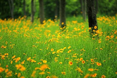 1629547021188632.jpg 1629547021188632.jpg