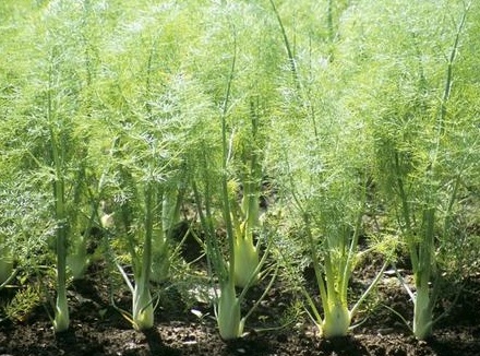 1629551521449857.jpg image.jpg