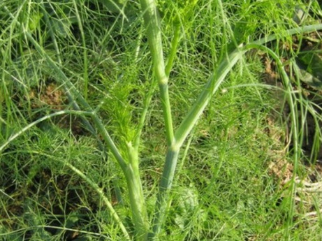 1629551529300709.jpg image.jpg