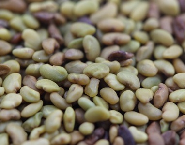 1629552247190756.jpg image.jpg