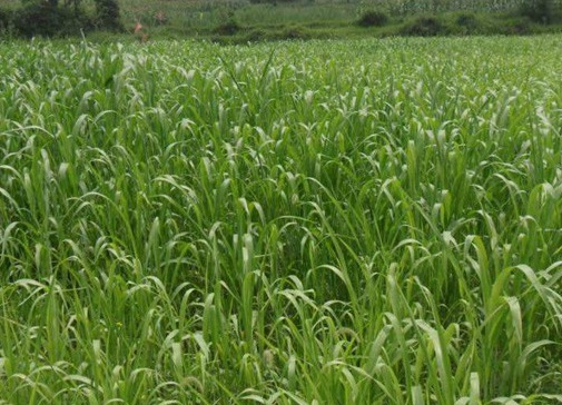 1629553206945084.jpg image.jpg