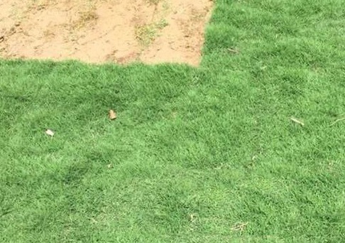 1629553372991672.jpg image.jpg