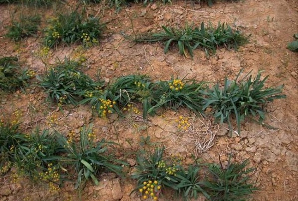 1629599823196978.jpg 6.jpg