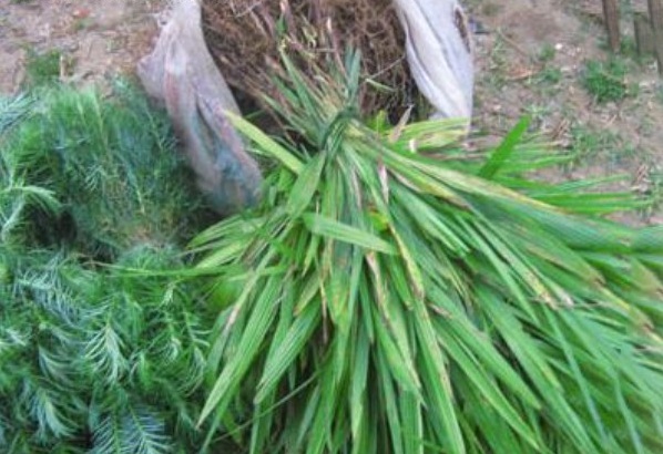 1629601299702690.jpg 1.jpg