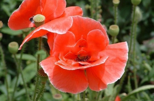 1629601798293814.jpg 4.jpg