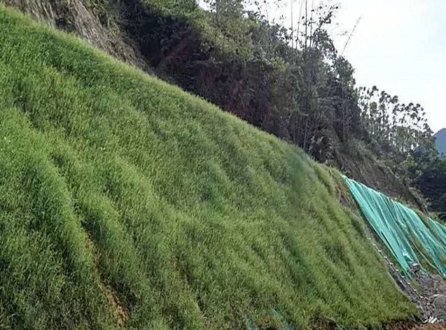 1629609779680164.jpg 0MX{2~2LTGWDU%D5CWQ%DFW.jpg