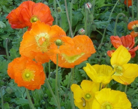 1629619613994232.jpg Z@3CW93K{I`441RX0{[BHAW.jpg