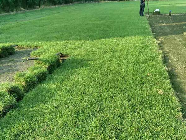 ???????&nbsp;1è????a??o??°