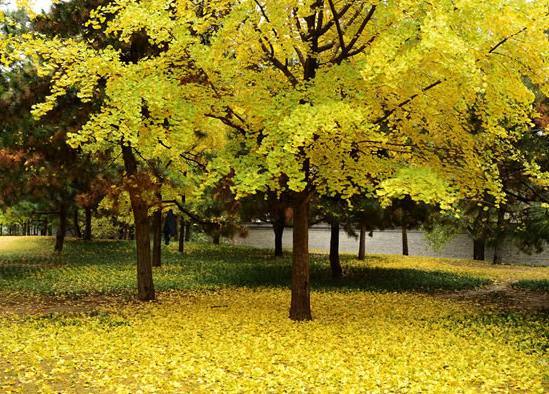 1629632461120340.jpeg 1629632461120340.jpeg