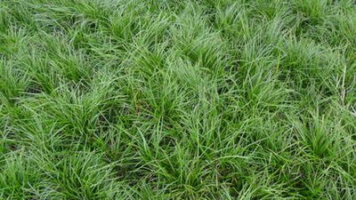 1629686346407471.jpg 1629686346407471.jpg