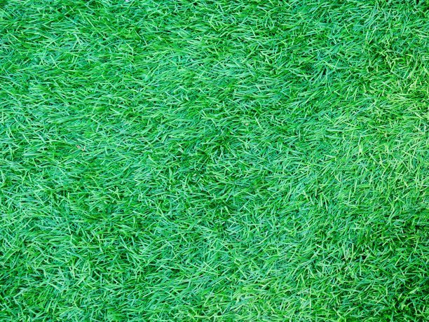 1629688942683569.jpg 1629688942683569.jpg