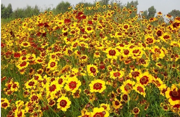 1629689227243830.jpg 7S3BN)4LVZ8C$6RH3EI14KQ.jpg