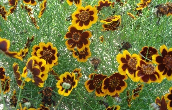 1629689240825430.jpg TMGTK2_PBGUVH6[TL@1OCP8.jpg